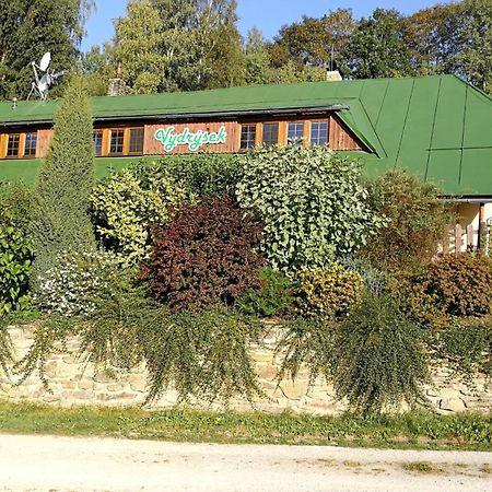 Apartmány Vydrýsek Srní Esterno foto